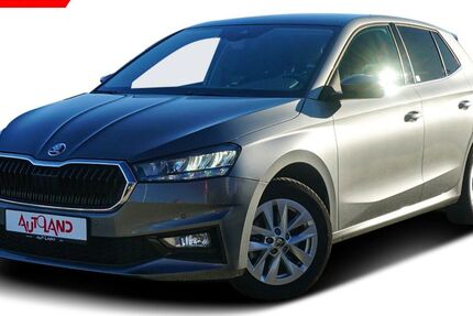 Skoda Fabia 47.276 km 19.950 € Schwerin 19061