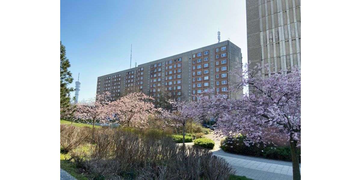 Etagenwohnung Schwerin Neu Zippendorf - 3 Zimmer, 68 m&sup2;, 424&euro; | Angebot:26183044