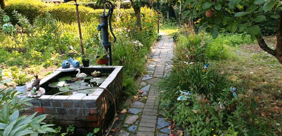 Grundstück Hagenow - 8.000&euro; | Angebot:25303633