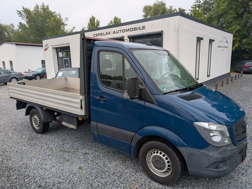 Sprinter