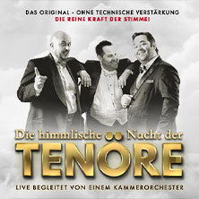 Himmlische Nacht der Tenöre - Das Original - Live und ohne technische Verstärkung Schwerin