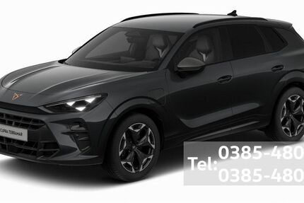 Cupra Terramar 11.000 km 42.990 &euro; Schwerin 19057