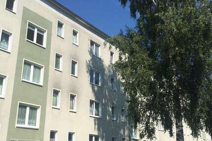 Wohnung Warin Wilhelmshof - 2.5 Zimmer, 58 m&sup2;, 332&euro; | Angebot:26582376