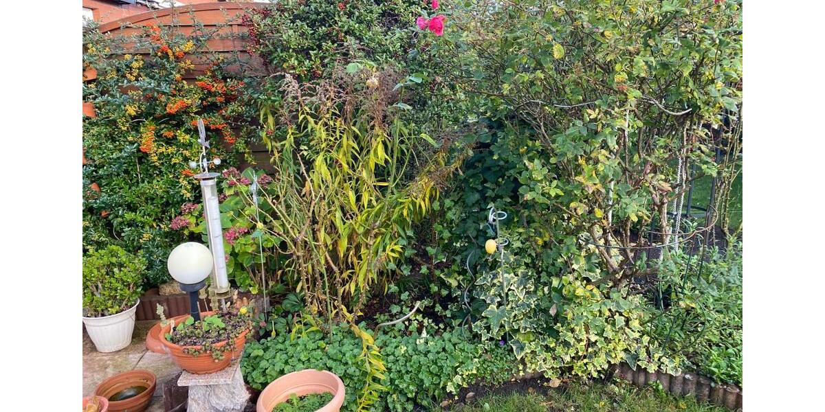 attraktives Endreihenhaus Schwerin-Krebsförden 5 zimmer