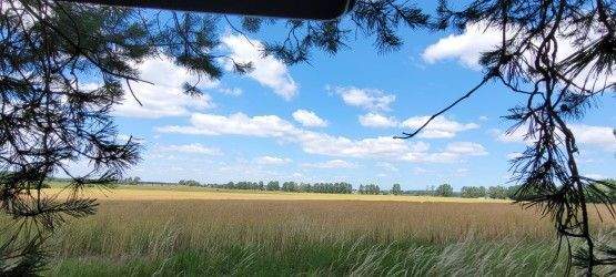 Grundstück Lewitzrand Raduhn - 26.500&euro; | Angebot:25670530