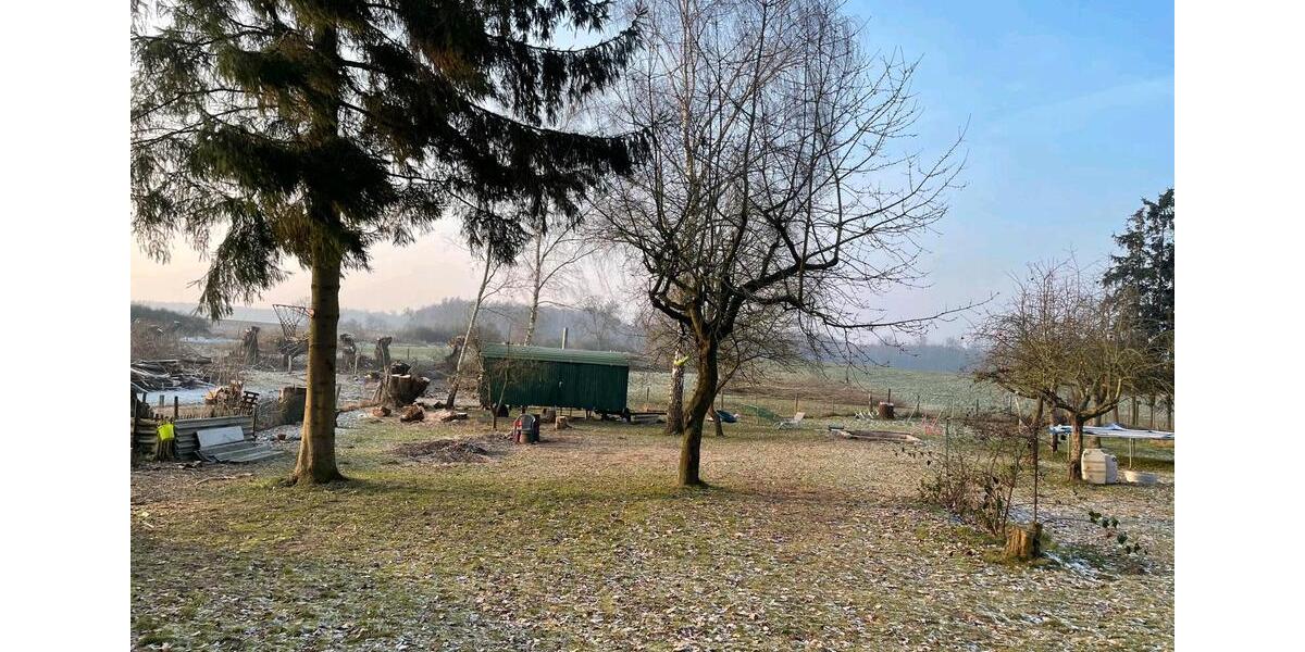 Doppelhaushälfte Dorf Mecklenburg - 5 Zimmer, 150 m&sup2;, 258.000&euro; | Angebot:24825899