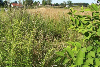 Grundstück zu verkaufen in Domsühl 75.000 € 2737 m²