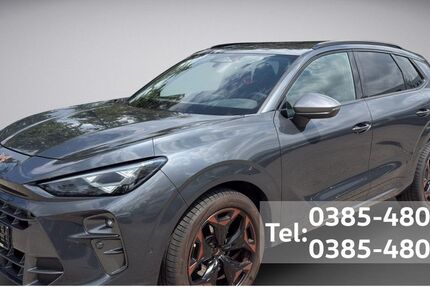 Cupra Terramar 12.700 km 41.990 &euro; Schwerin 19057