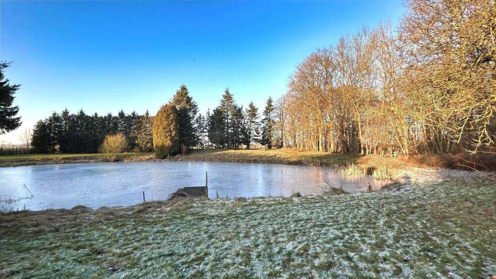 Doppelhaushälfte Gottesgabe Klein Welzin - 6 Zimmer, 160 m&sup2;, 250.000&euro; | Angebot:25670085