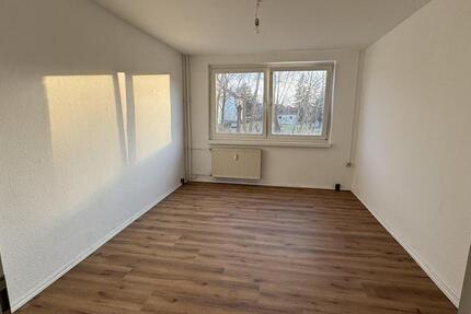 Wohnung Hagenow - 3 Zimmer, 60 m&sup2;, 450&euro; | Angebot:26659931