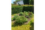 Bungalow Schwerin Gartenstadt - 1 Zimmer, 60 m&sup2;, 150.000&euro; | Angebot:26708994