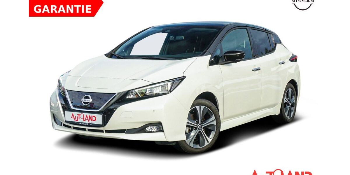 Nissan Leaf 41.594 km 12.990 &euro; Schwerin 19061