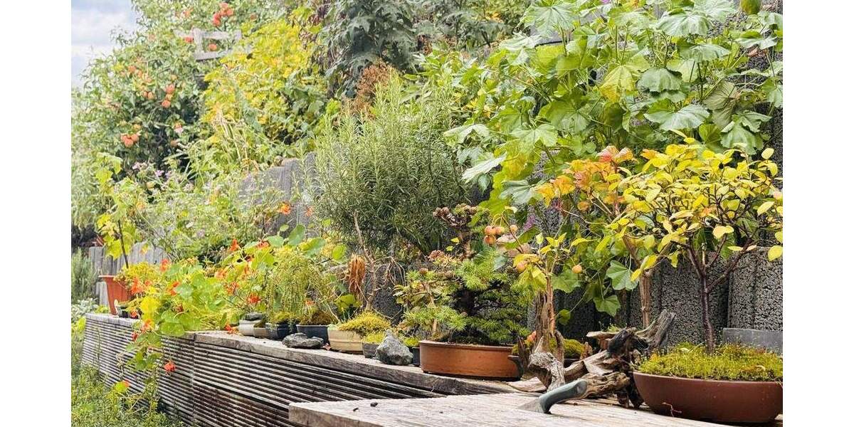 Architektenhaus in Hanglage und Blick auf den Fernsehturm - Ihr neues Zuhause! 6 zimmer