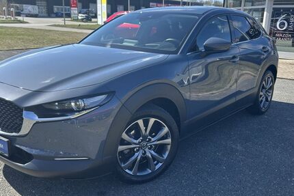 Mazda CX-30 17.500 km 25.440 &euro; Wismar 23970