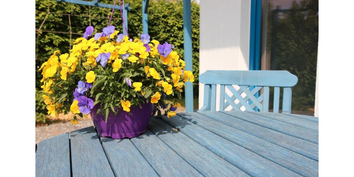 Bungalow Schwerin Gartenstadt - 4 Zimmer, 100 m&sup2;, 1.490&euro; | Angebot:26416797