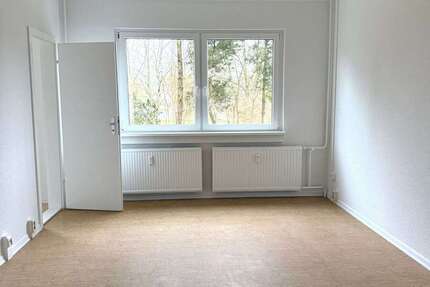 Wohnung zum Mieten in Schwerin 243 € 30 m² 1 zimmer