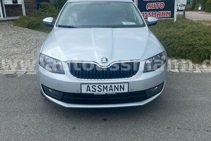 Skoda Octavia 102.690 km 13.990 € Wittenförden 19073