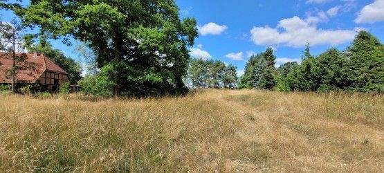 Grundstück Lewitzrand Raduhn - 26.500&euro; | Angebot:24967530