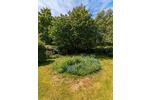 Bungalow Schwerin Gartenstadt - 1 Zimmer, 60 m&sup2;, 150.000&euro; | Angebot:26708994