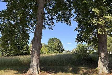 Grundstück Badow Badow - 69.000&euro; | Angebot:25156073