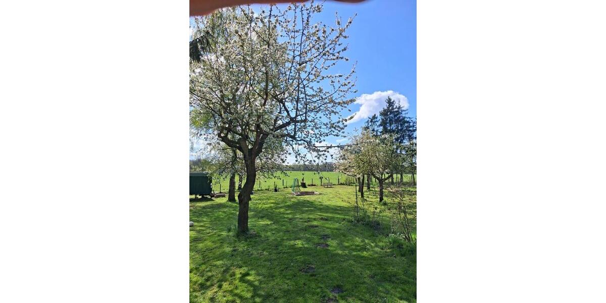 Doppelhaushälfte Dorf Mecklenburg - 5 Zimmer, 150 m&sup2;, 230.000&euro; | Angebot:26523774