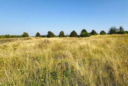 Grundstück zu verkaufen in Brüel 98.000 € 1005 m² zimmer