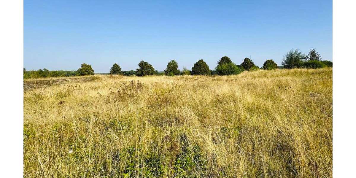 Grundstück zu verkaufen in Brüel 98.000 € 1005 m² zimmer