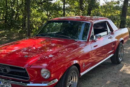 Ford Mustang 65.000 km 39.000 &euro; Pinnow 19065