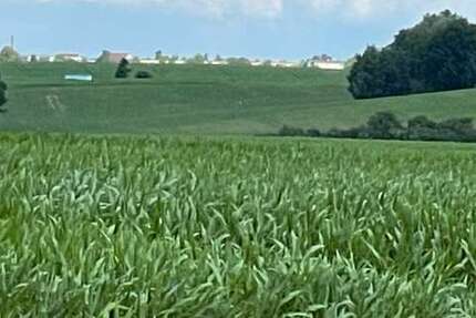 Grundstück zu verkaufen in Dorf Mecklenburg 77.142 € 598 m² zimmer