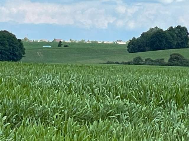 Grundstück zu verkaufen in Dorf Mecklenburg 77.142 € 598 m² zimmer