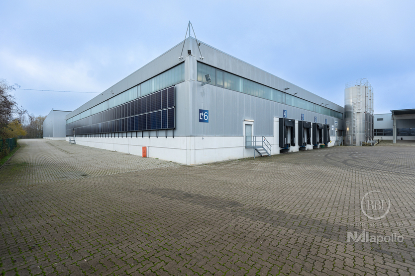 ZUR MIETE: HOCHREGALLAGER IN PRODUKTIONS- UND LOGISTIKImmobilie IN WISMAR