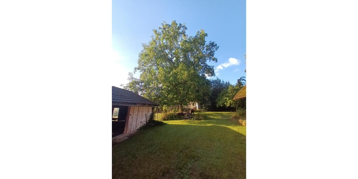 Bauernhaus, Landhaus Plate - 360.000&euro; | Angebot:27025838