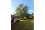 Bauernhaus, Landhaus Plate - 360.000&euro; | Angebot:27025838