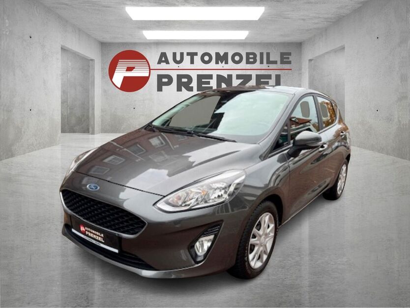 Ford Fiesta 50.613 km 11.490 € Hagenow 19230