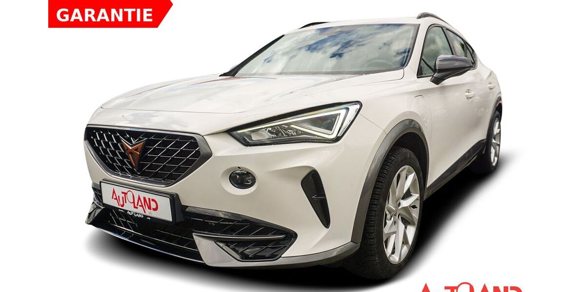 Cupra Formentor 50.050 km 24.950 &euro; Schwerin 19061