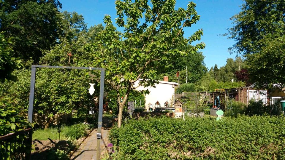 Grundstück Hagenow - 8.000&euro; | Angebot:25303633