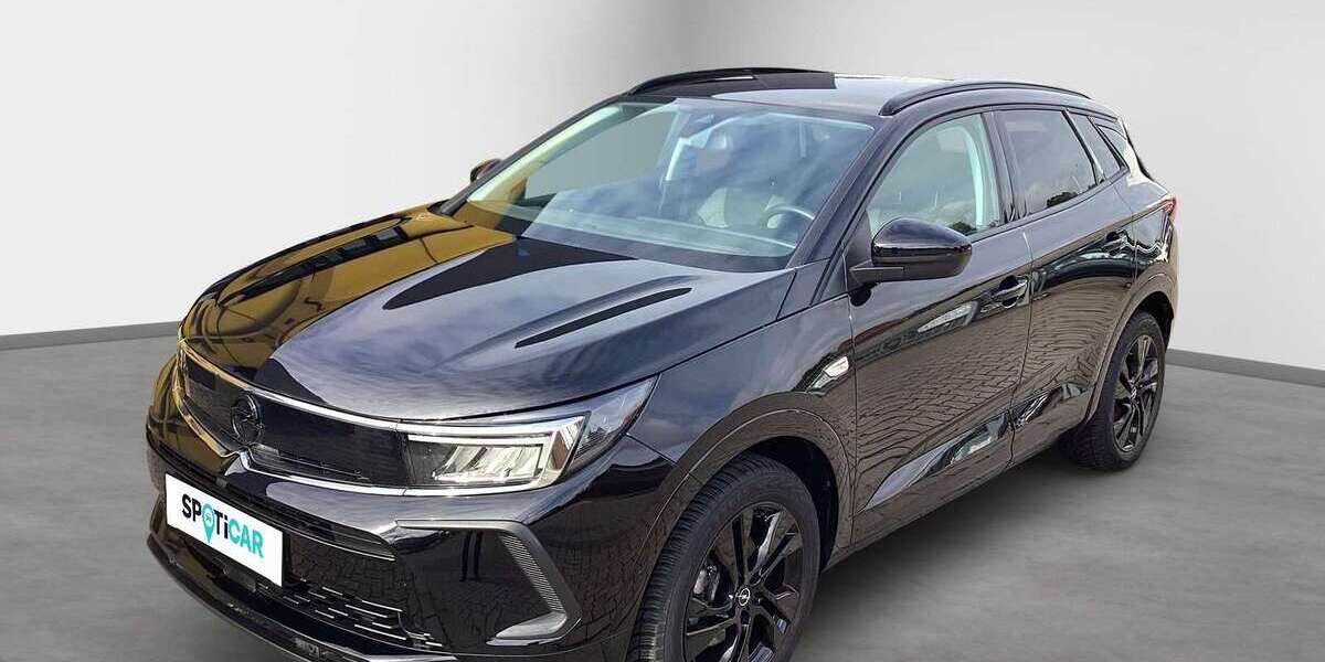 Opel Grandland X 28.443 km 23.980 &euro; Hagenow 19230