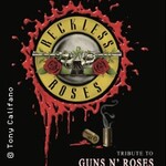 Reckless Roses - Guns 'N Roses