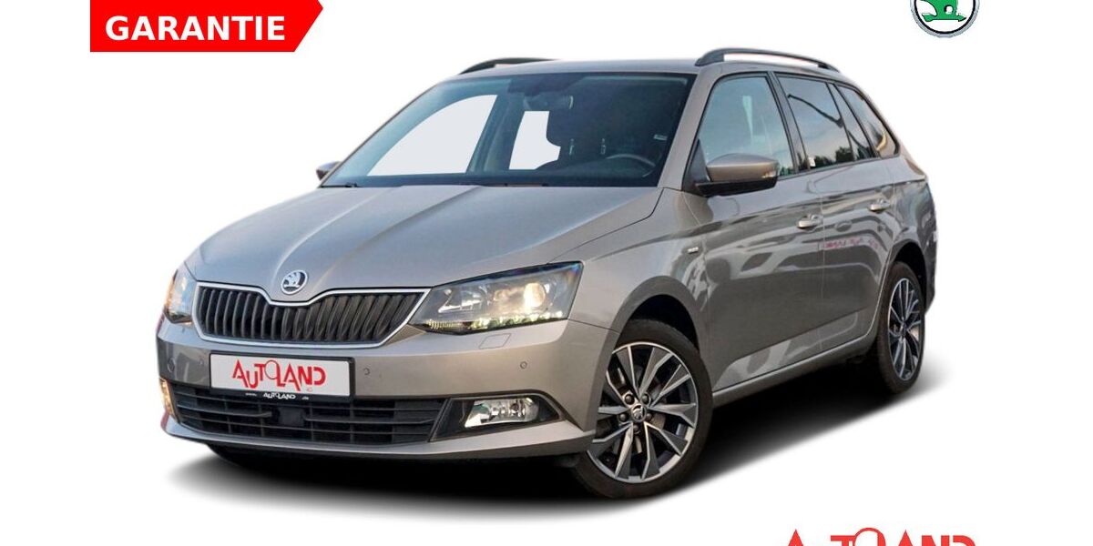 Skoda Fabia 97.900 km 13.990 € Schwerin 19061