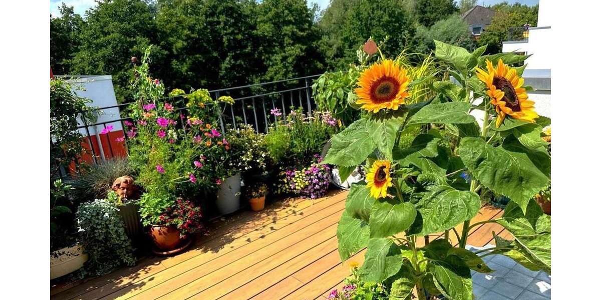 Etagenwohnung Schwerin (Krebsförden) Gartenstadt - 3 Zimmer, 129 m&sup2;, 535.000&euro; | Angebot:25625732