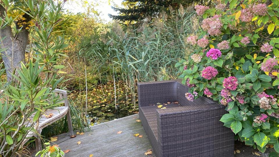 Freist. EFH bei Schwerin, Sauna, Pool, Teich - ohne Makler court. 5 zimmer