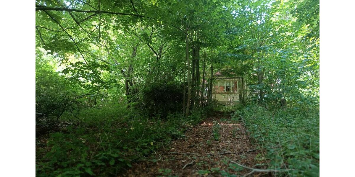 Bauernhaus, Landhaus Domsühl - 4 Zimmer, 100 m&sup2;, 58.000&euro; | Angebot:25422415