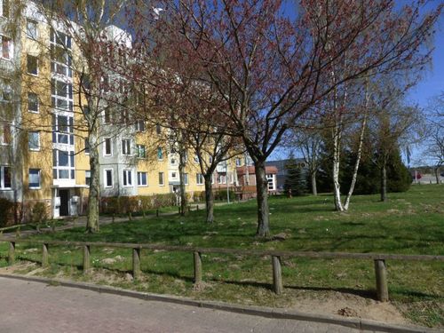 Etagenwohnung Schwerin Gartenstadt - 3 Zimmer, 58 m&sup2;, 334&euro; | Angebot:25144523