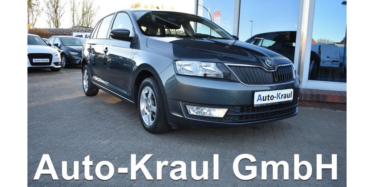 Skoda Rapid 164.070 km 6.899 &euro; Rehna 19217