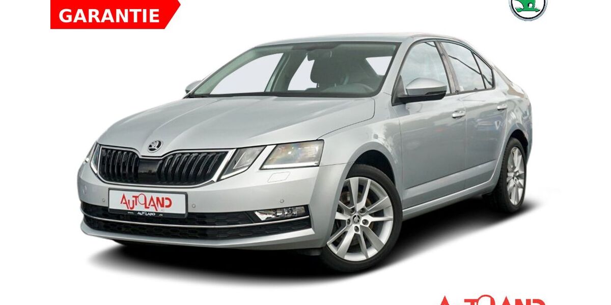 Skoda Octavia 66.869 km 18.990 € Schwerin 19061