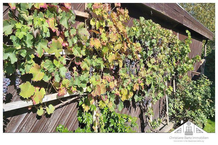 Einfamilienhaus Groß Woltersdorf Groß Woltersdorf - 4 Zimmer, 171 m&sup2;, 498.750&euro; | Angebot:26568904