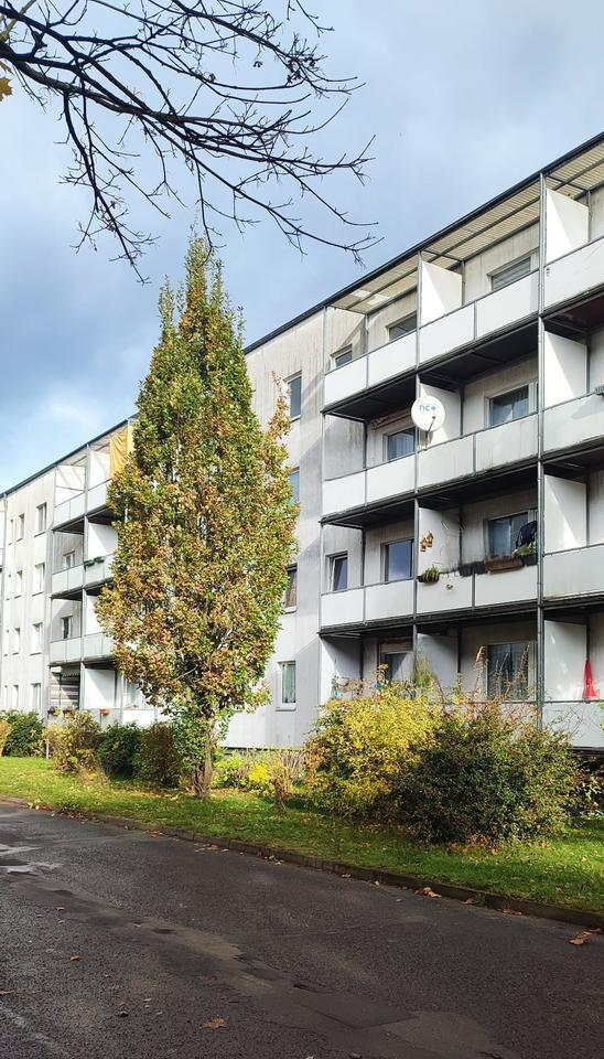 Schöne frisch renovierte 2,5 Zimmer Wohnung